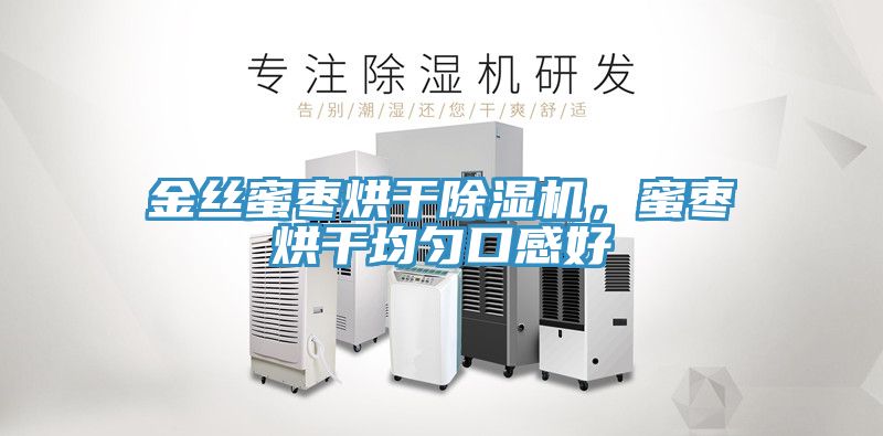 金絲蜜棗烘干除濕機，蜜棗烘干均勻口感好