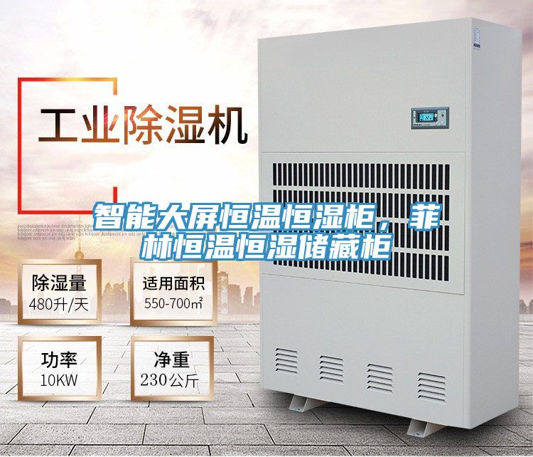 智能大屏恒溫恒濕柜，菲林恒溫恒濕儲藏柜