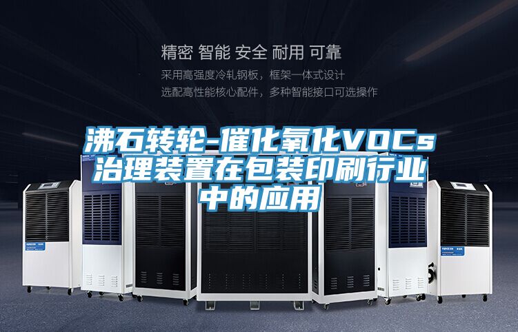 沸石轉輪-催化氧化VOCs治理裝置在包裝印刷行業(yè)中的應用