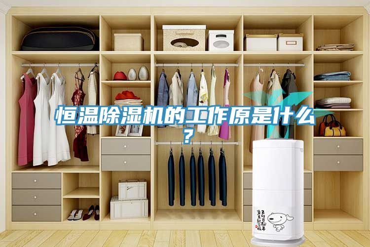恒溫除濕機(jī)的工作原是什么？