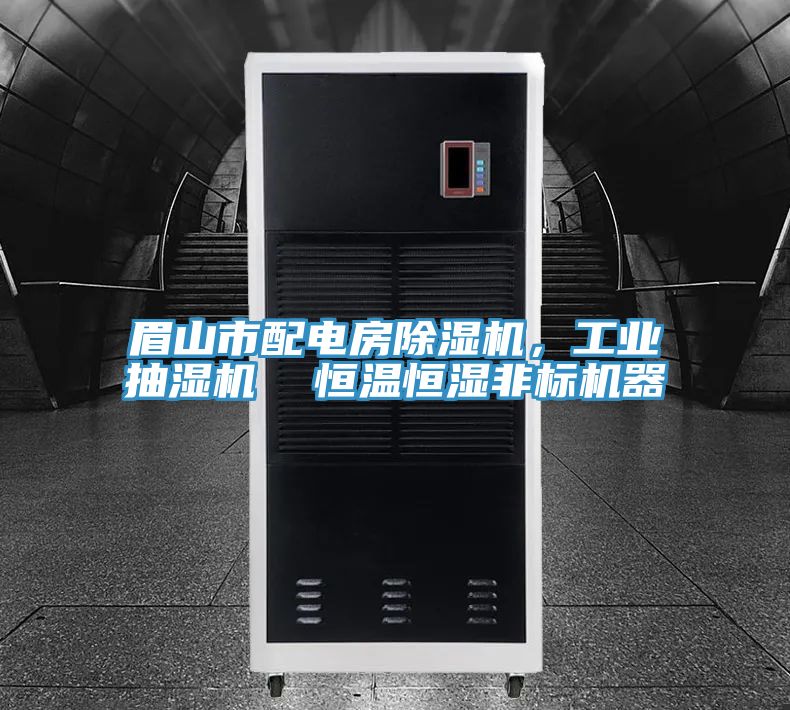 眉山市配電房除濕機(jī)，工業(yè)抽濕機(jī)  恒溫恒濕非標(biāo)機(jī)器