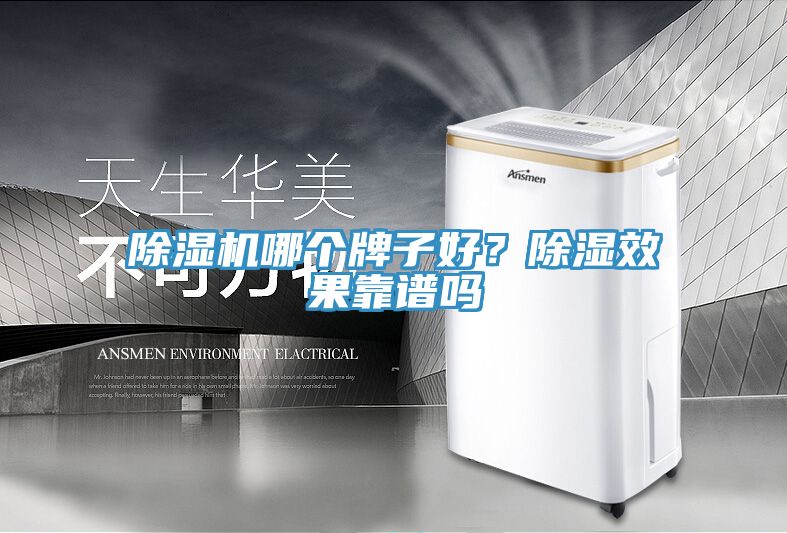 除濕機哪個牌子好？除濕效果靠譜嗎