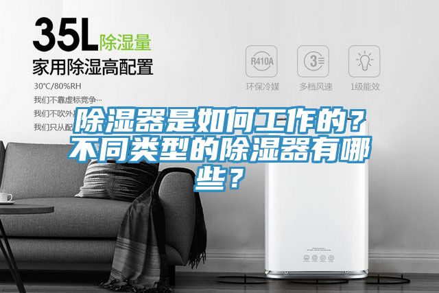 除濕器是如何工作的？不同類型的除濕器有哪些？