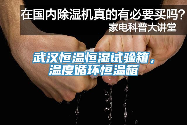 武漢恒溫恒濕試驗箱，溫度循環(huán)恒溫箱