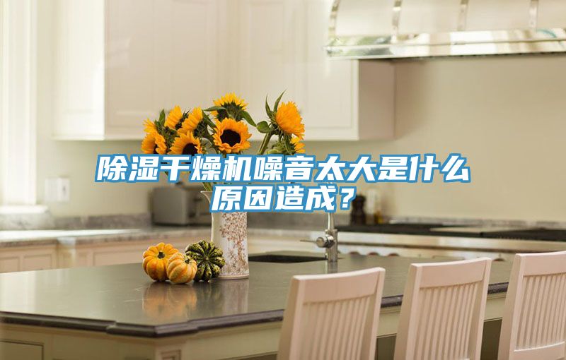 除濕干燥機(jī)噪音太大是什么原因造成？