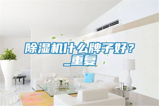 除濕機(jī)什么牌子好？_重復(fù)
