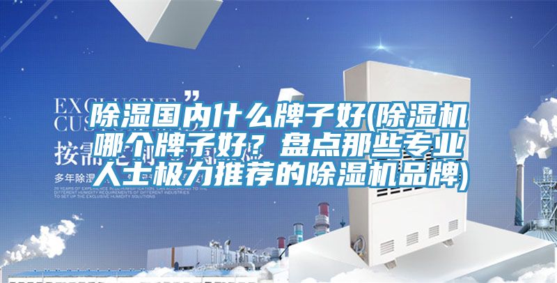 除濕國(guó)內(nèi)什么牌子好(除濕機(jī)哪個(gè)牌子好？盤點(diǎn)那些專業(yè)人士極力推薦的除濕機(jī)品牌)