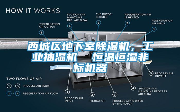 西城區(qū)地下室除濕機(jī)，工業(yè)抽濕機(jī)  恒溫恒濕非標(biāo)機(jī)器