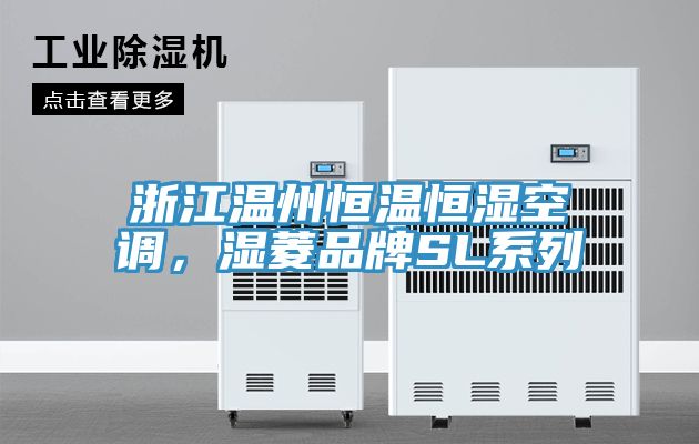 浙江溫州恒溫恒濕空調(diào)，濕菱品牌SL系列