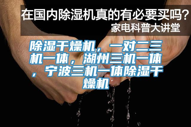 除濕干燥機，一對二三機一體，湖州三機一體，寧波三機一體除濕干燥機