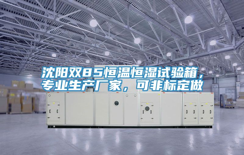 沈陽雙85恒溫恒濕試驗箱，專業(yè)生產(chǎn)廠家，可非標定做