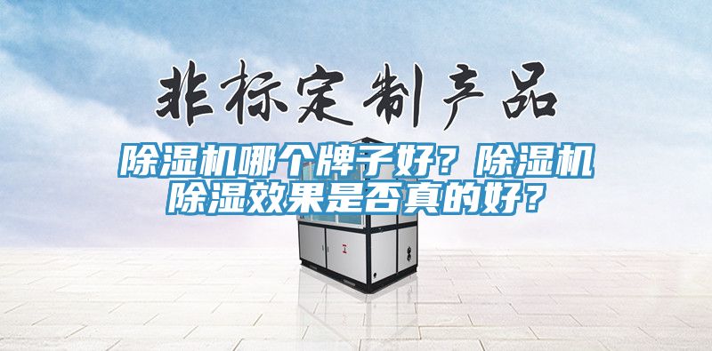 除濕機(jī)哪個(gè)牌子好？除濕機(jī)除濕效果是否真的好？