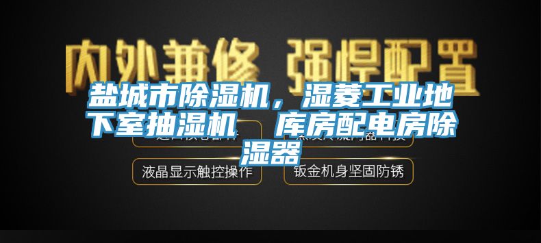 鹽城市除濕機(jī)，濕菱工業(yè)地下室抽濕機(jī)  庫房配電房除濕器