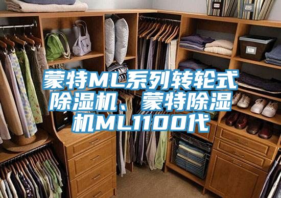 蒙特ML系列轉(zhuǎn)輪式除濕機、蒙特除濕機ML1100代