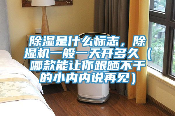 除濕是什么標志，除濕機一般一天開多久（哪款能讓你跟曬不干的小內(nèi)內(nèi)說再見）