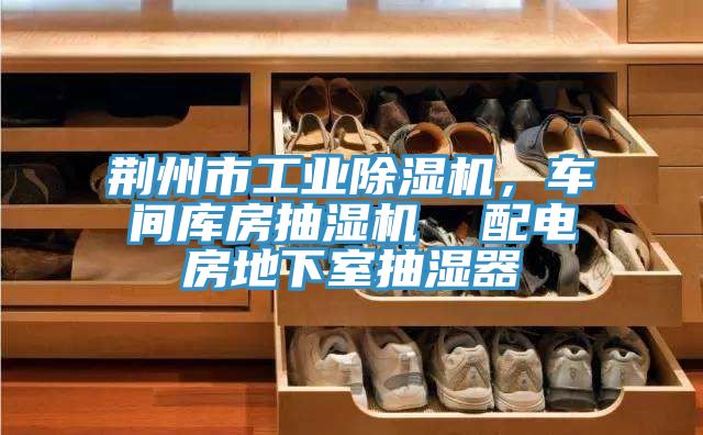 荊州市工業(yè)除濕機，車間庫房抽濕機  配電房地下室抽濕器