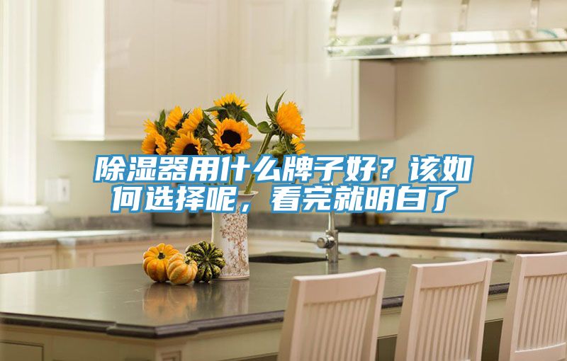 除濕器用什么牌子好？該如何選擇呢，看完就明白了