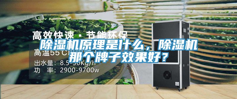 除濕機原理是什么，除濕機那個牌子效果好？