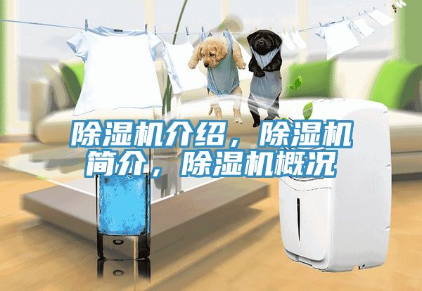 除濕機(jī)介紹，除濕機(jī)簡(jiǎn)介，除濕機(jī)概況