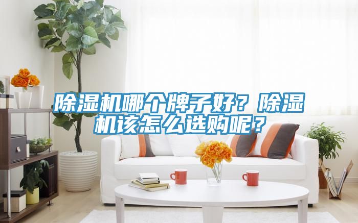 除濕機(jī)哪個(gè)牌子好？除濕機(jī)該怎么選購呢？