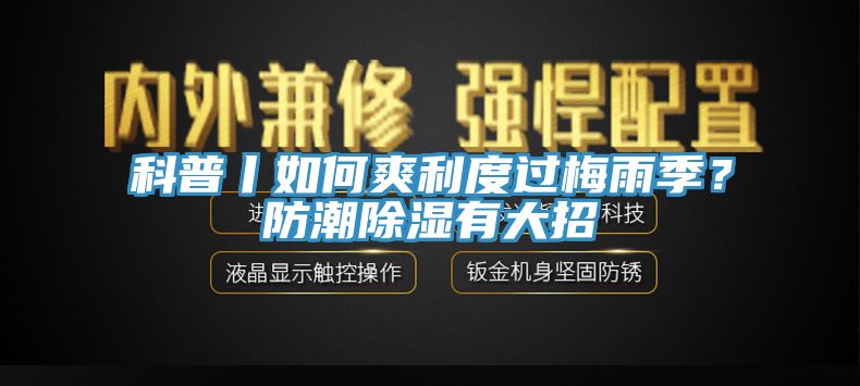 科普丨如何爽利度過梅雨季？防潮除濕有大招