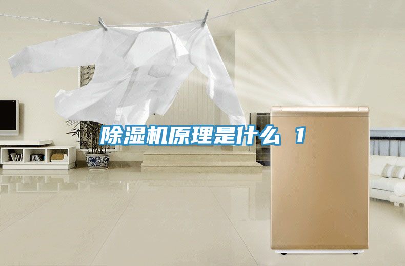 除濕機(jī)原理是什么 1