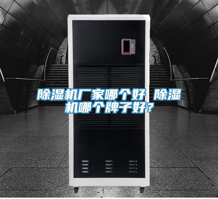 除濕機(jī)廠家哪個(gè)好 除濕機(jī)哪個(gè)牌子好？