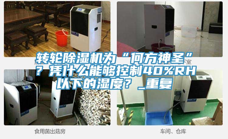 轉(zhuǎn)輪除濕機(jī)為“何方神圣”？憑什么能夠控制40%RH以下的濕度？_重復(fù)
