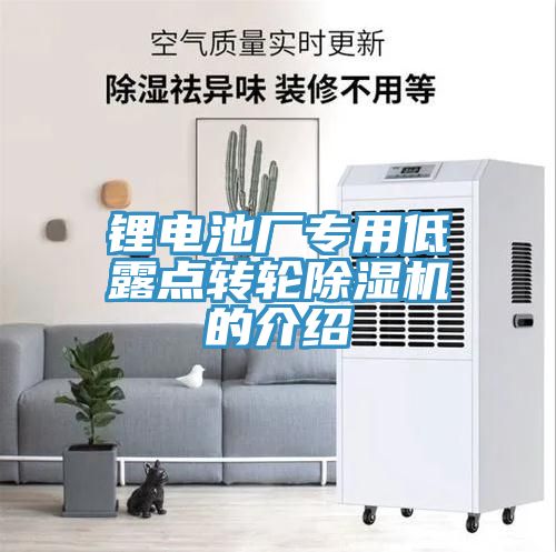 鋰電池廠專用低露點轉(zhuǎn)輪除濕機(jī)的介紹