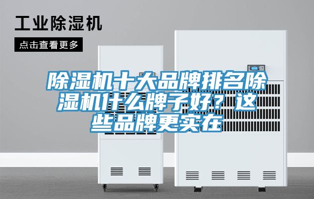 除濕機(jī)十大品牌排名除濕機(jī)什么牌子好？這些品牌更實在