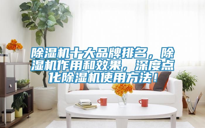 除濕機十大品牌排名，除濕機作用和效果，深度點化除濕機使用方法！