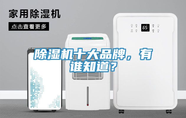 除濕機(jī)十大品牌，有誰(shuí)知道？