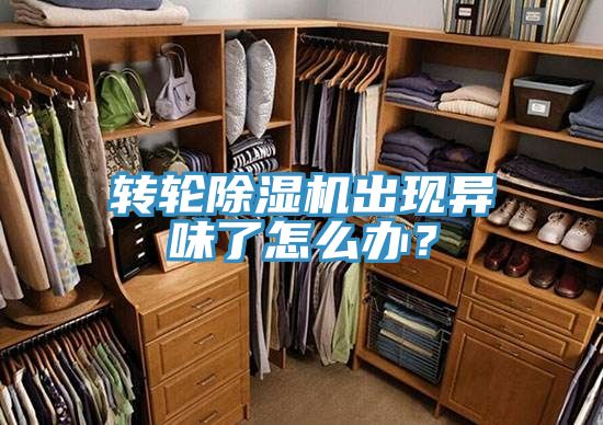 轉(zhuǎn)輪除濕機出現(xiàn)異味了怎么辦？