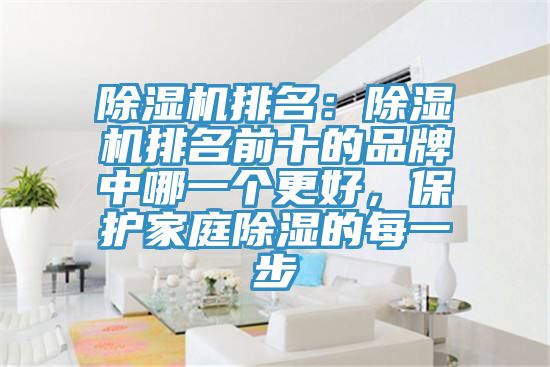 除濕機(jī)排名：除濕機(jī)排名前十的品牌中哪一個(gè)更好，保護(hù)家庭除濕的每一步