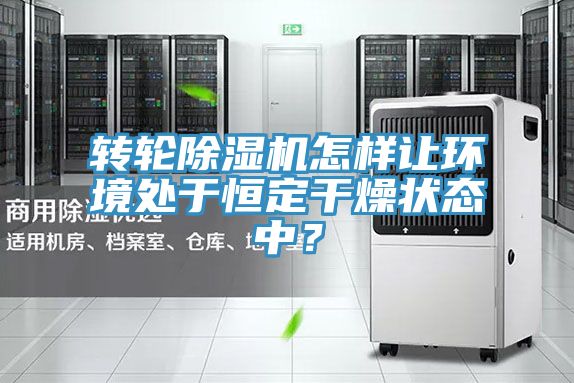 轉(zhuǎn)輪除濕機怎樣讓環(huán)境處于恒定干燥狀態(tài)中？