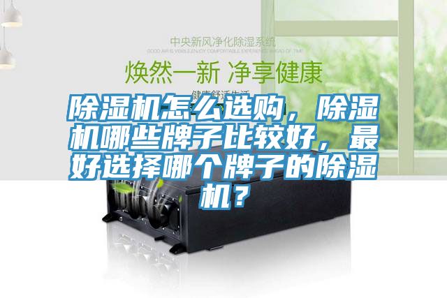 除濕機(jī)怎么選購(gòu)，除濕機(jī)哪些牌子比較好，最好選擇哪個(gè)牌子的除濕機(jī)？