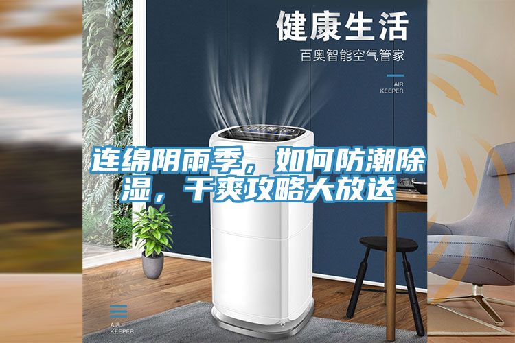 連綿陰雨季，如何防潮除濕，干爽攻略大放送