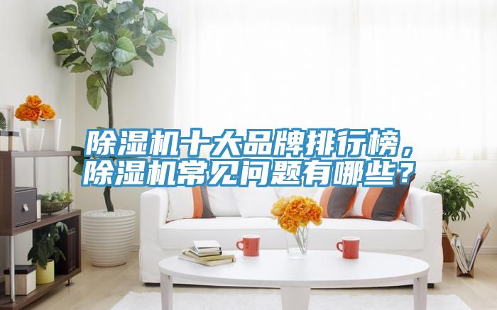 除濕機(jī)十大品牌排行榜，除濕機(jī)常見問題有哪些？