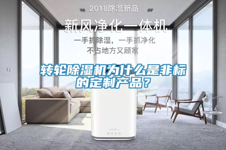 轉(zhuǎn)輪除濕機(jī)為什么是非標(biāo)的定制產(chǎn)品？
