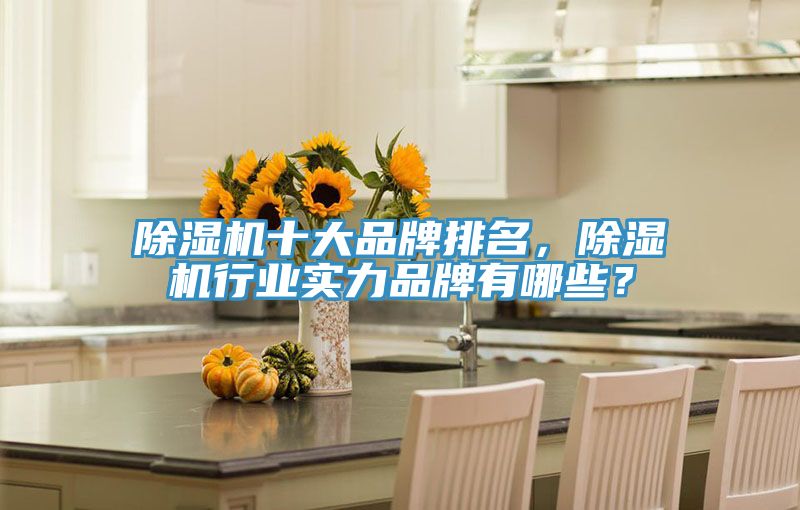 除濕機(jī)十大品牌排名，除濕機(jī)行業(yè)實(shí)力品牌有哪些？