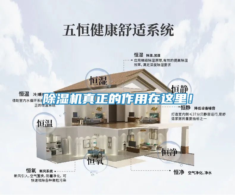 除濕機真正的作用在這里！