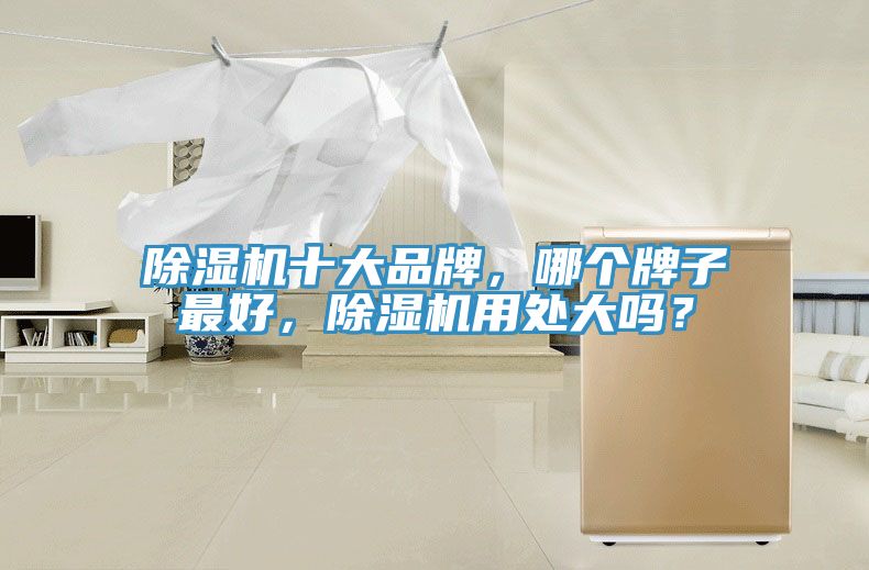 除濕機(jī)十大品牌，哪個(gè)牌子最好，除濕機(jī)用處大嗎？