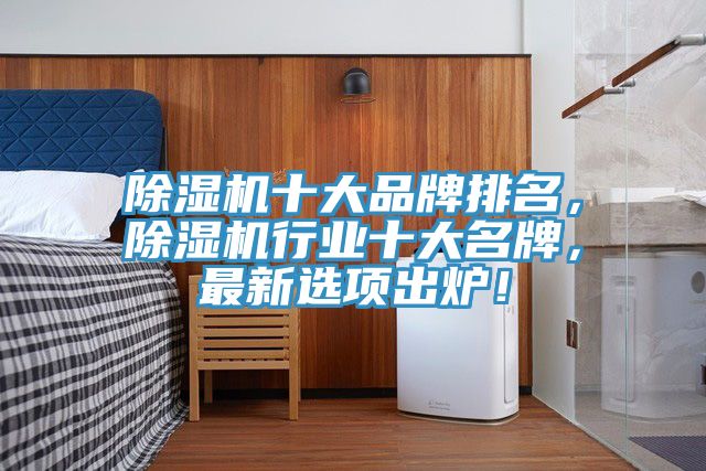 除濕機(jī)十大品牌排名，除濕機(jī)行業(yè)十大名牌，最新選項(xiàng)出爐！