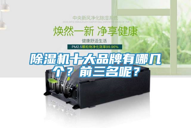 除濕機十大品牌有哪幾個？前三名呢？