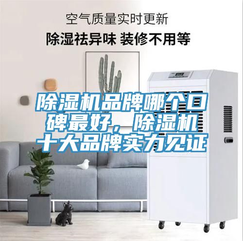 除濕機(jī)品牌哪個(gè)口碑最好，除濕機(jī)十大品牌實(shí)力見(jiàn)證