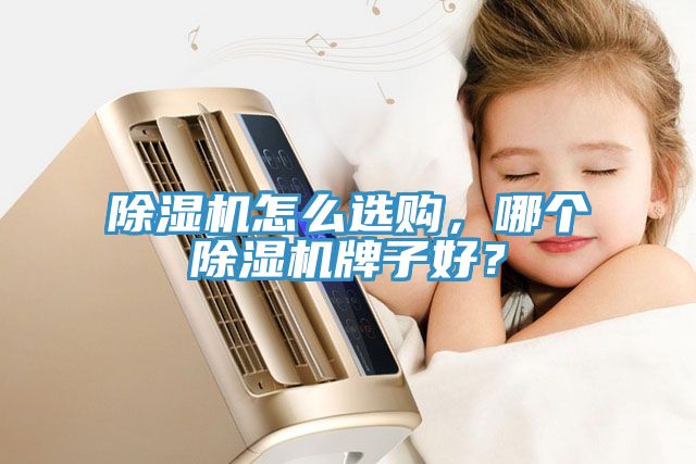 除濕機(jī)怎么選購(gòu)，哪個(gè)除濕機(jī)牌子好？