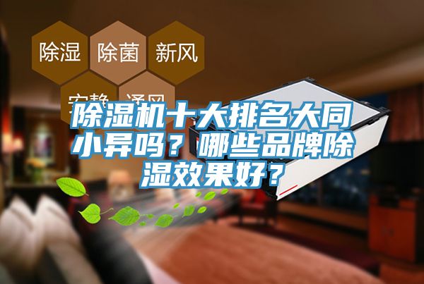 除濕機(jī)十大排名大同小異嗎？哪些品牌除濕效果好？