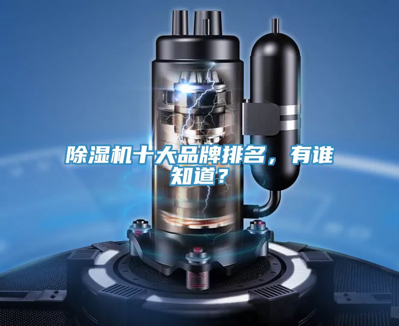 除濕機十大品牌排名，有誰知道？