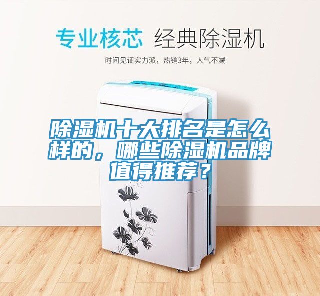 除濕機(jī)十大排名是怎么樣的，哪些除濕機(jī)品牌值得推薦？