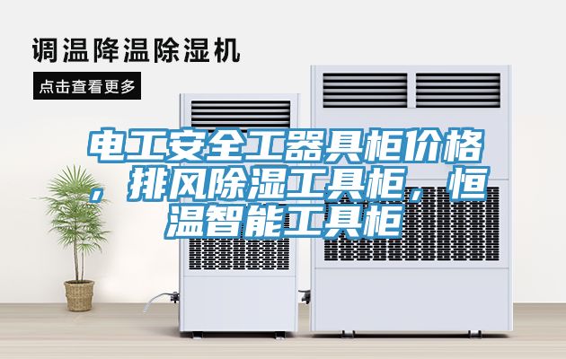 電工安全工器具柜價格，排風(fēng)除濕工具柜，恒溫智能工具柜